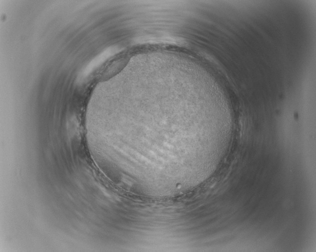 X0000051881064200507151906