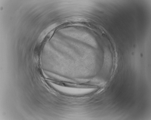 X0000051881065200507151906