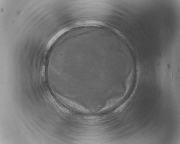 X0000051881066200507151906