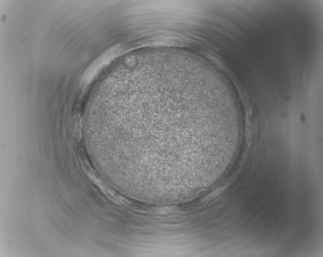 X0000051881067200507151906