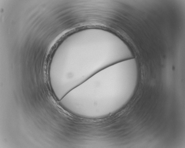 X0000051881068200507151906