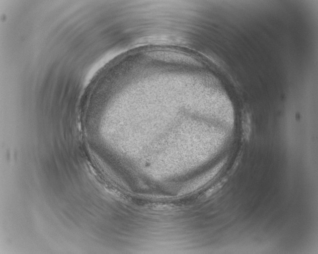 X0000051881070200507151906