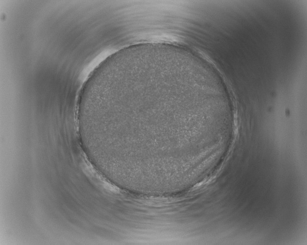 X0000051881071200507151906