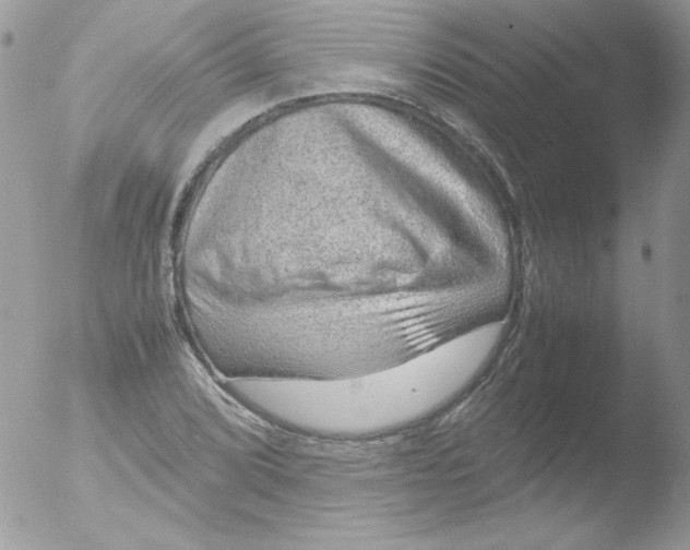 X0000051881072200507151906