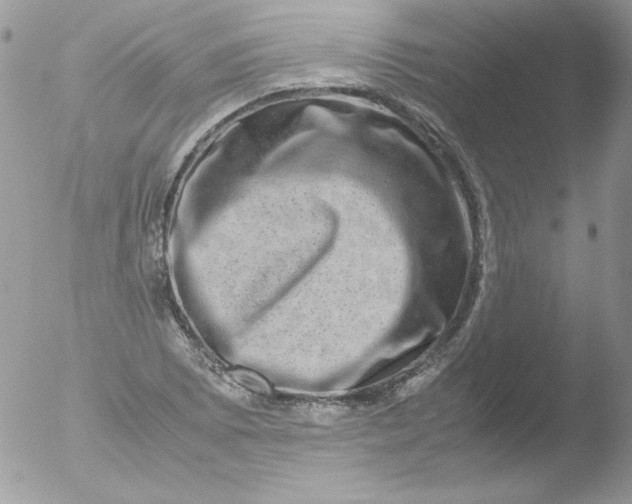 X0000051881073200507151906