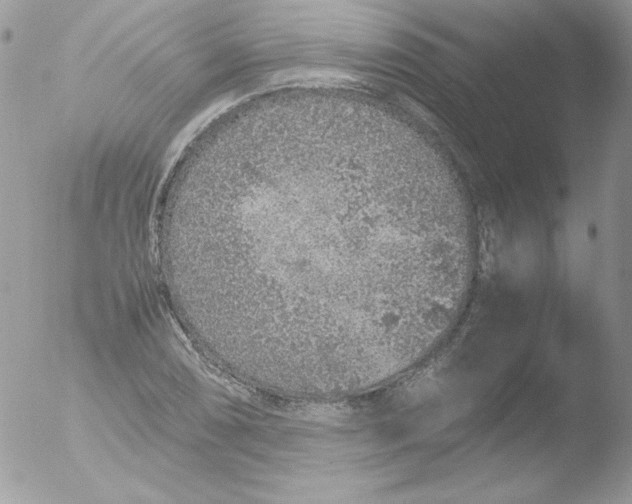 X0000051881074200507151906