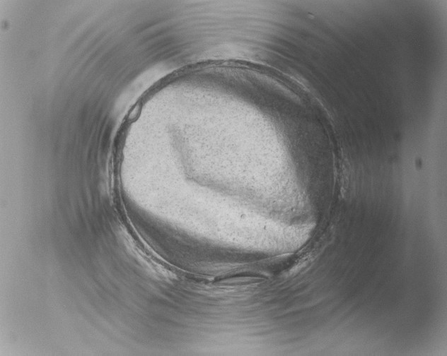 X0000051881076200507151906