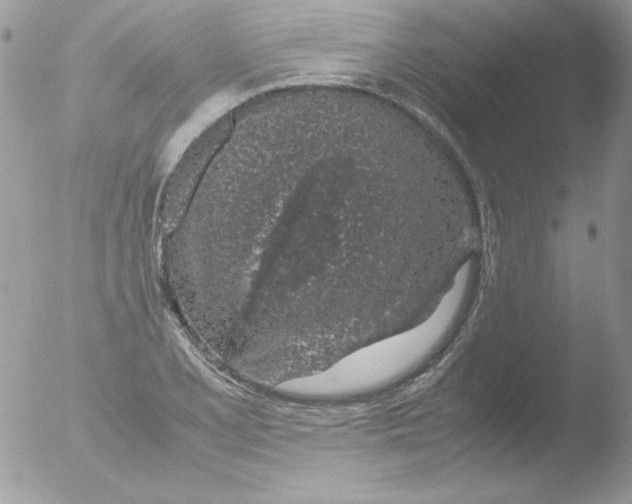 X0000051881077200507151906