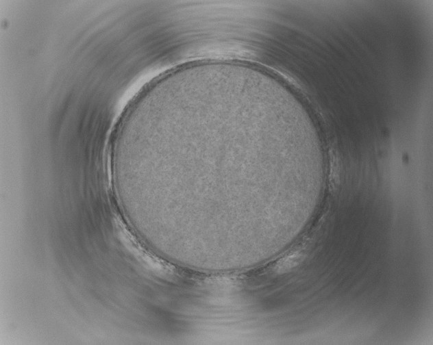 X0000051881078200507151906