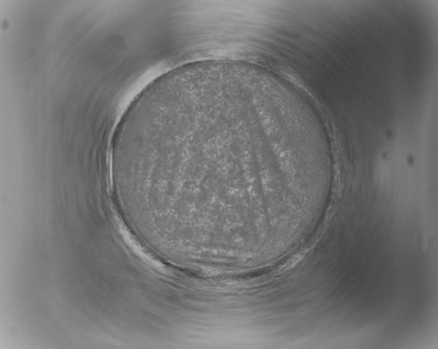 X0000051881079200507151906