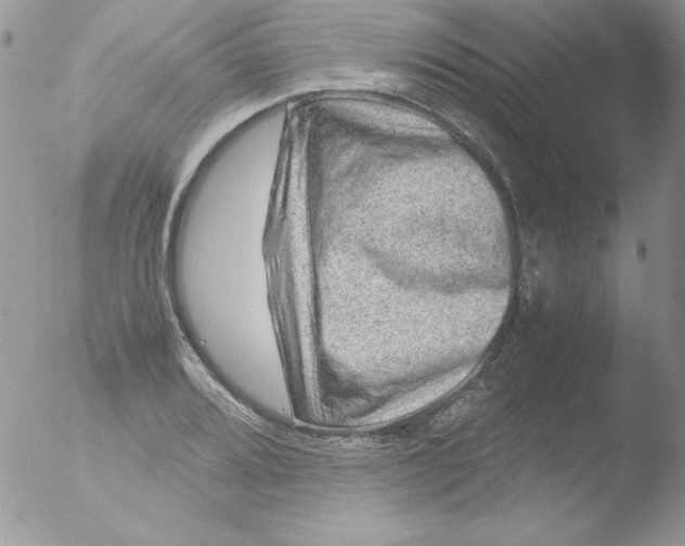 X0000051881080200507151906