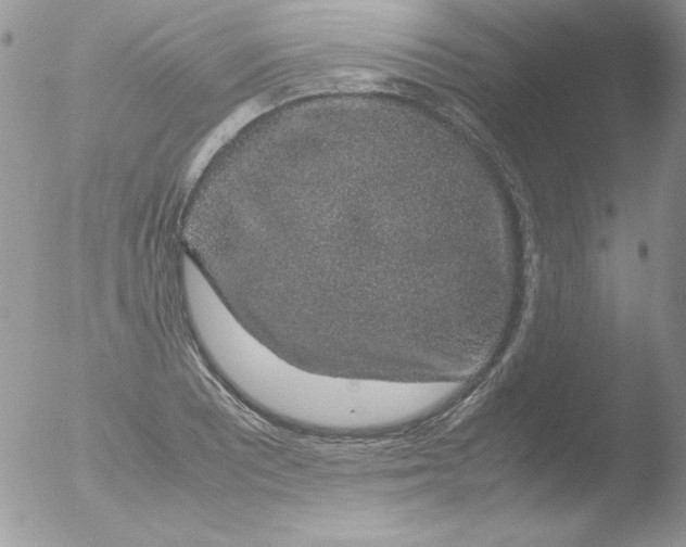 X0000051881081200507151906