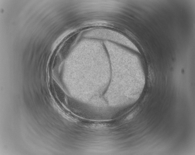 X0000051881082200507151906