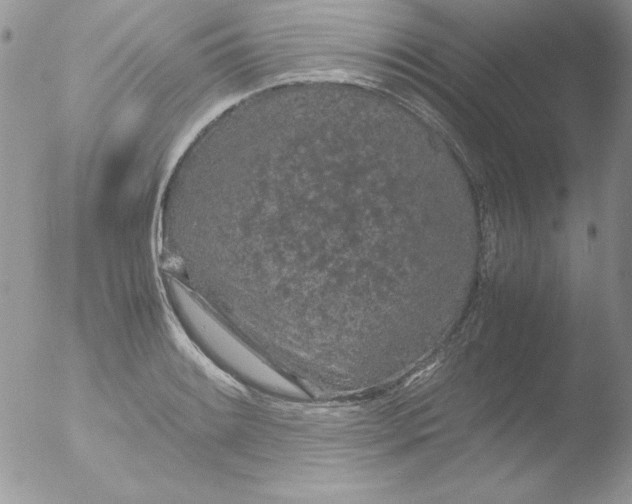 X0000051881084200507151906