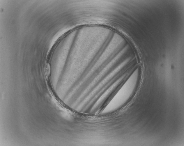 X0000051881085200507151906