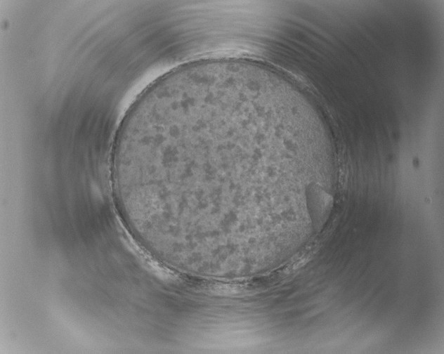 X0000051881086200507151906