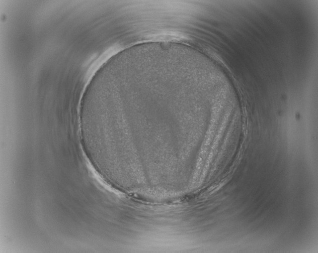 X0000051881087200507151906