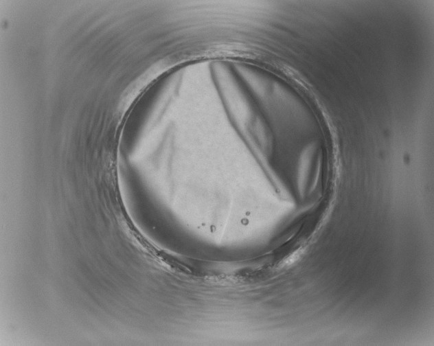 X0000051881089200507151906