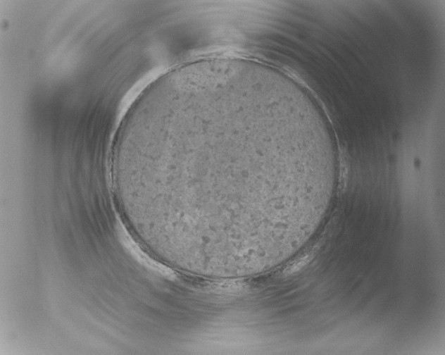 X0000051881090200507151906