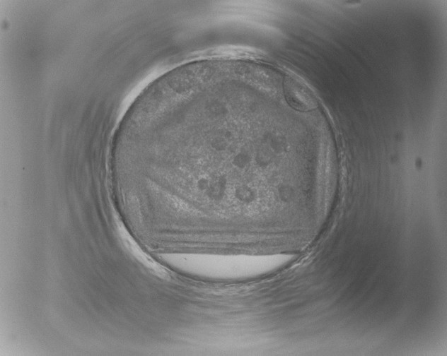 X0000051881091200507151906