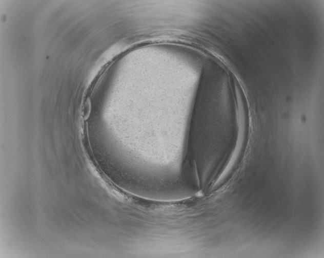 X0000051881093200507151906