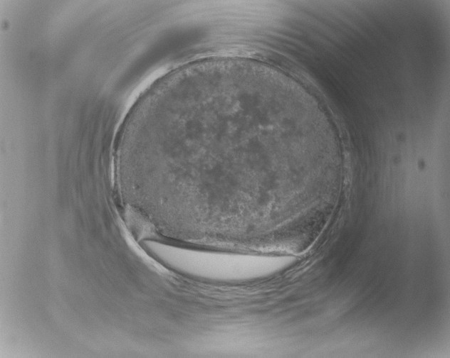 X0000051881095200507151906