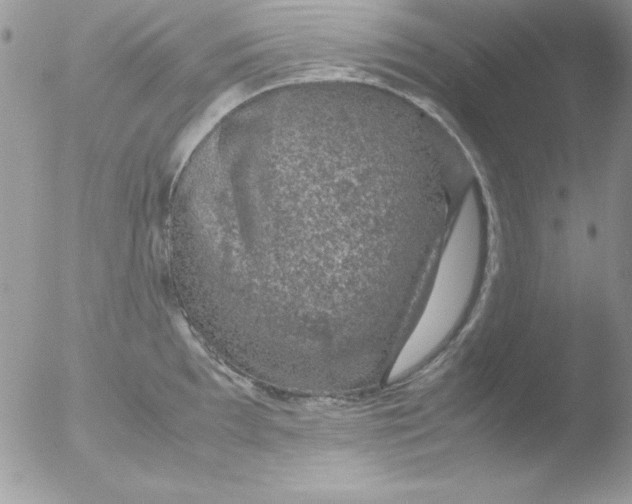 X0000051881097200507151906