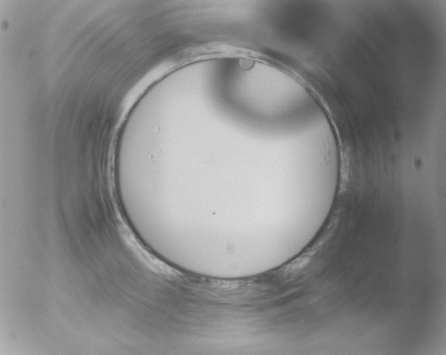 X0000051881098200507151906