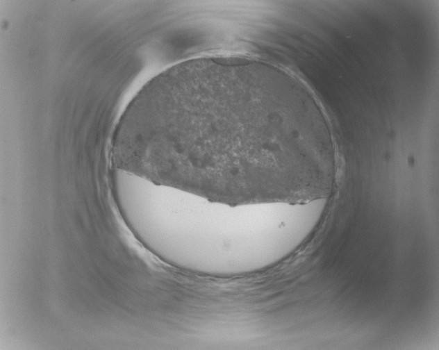 X0000051881099200507151906