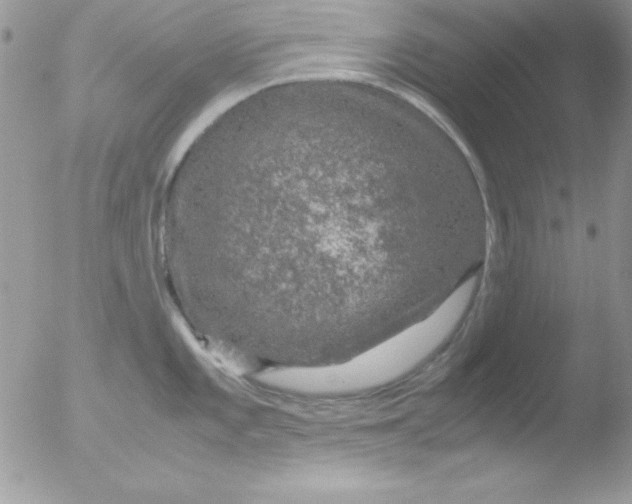 X0000051881101200507151906