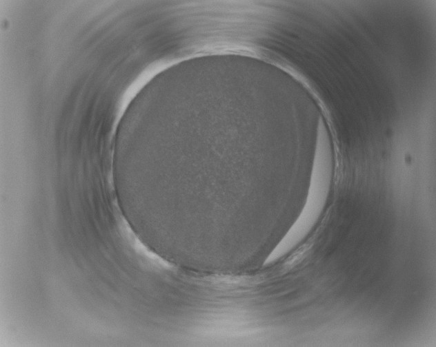 X0000051881102200507151906