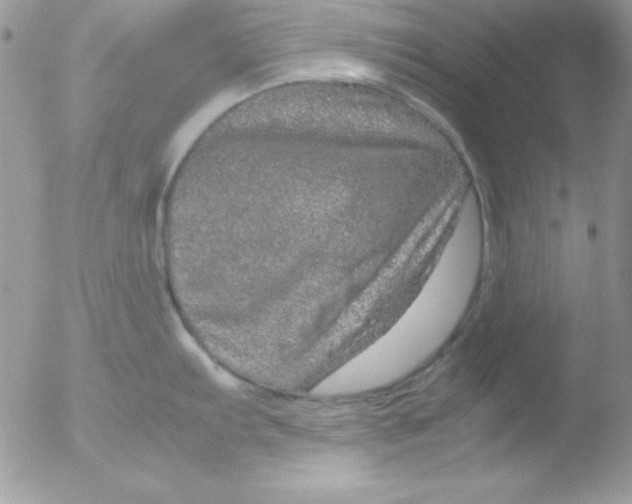 X0000051881103200507151906