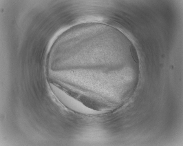 X0000051881104200507151906