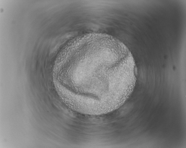 X0000051881105200507151905