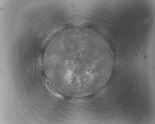 X0000051881106200507151905