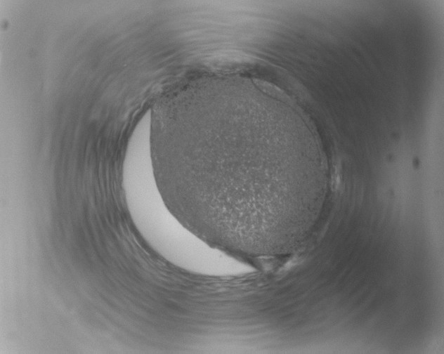 X0000051881108200507151905