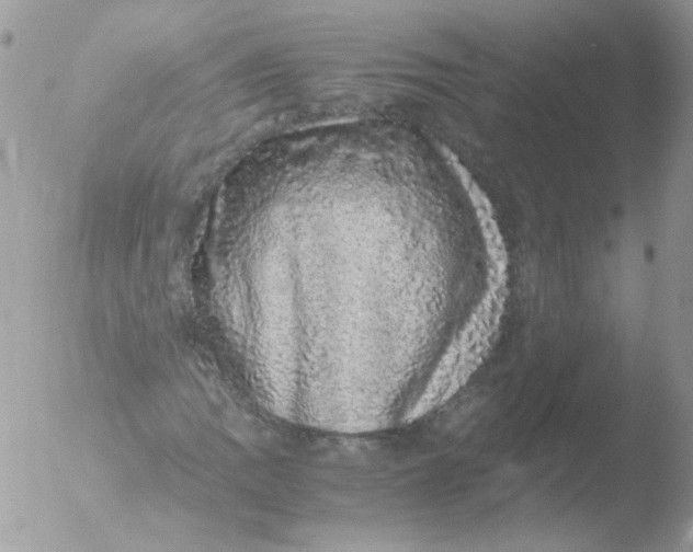 X0000051881109200507151905