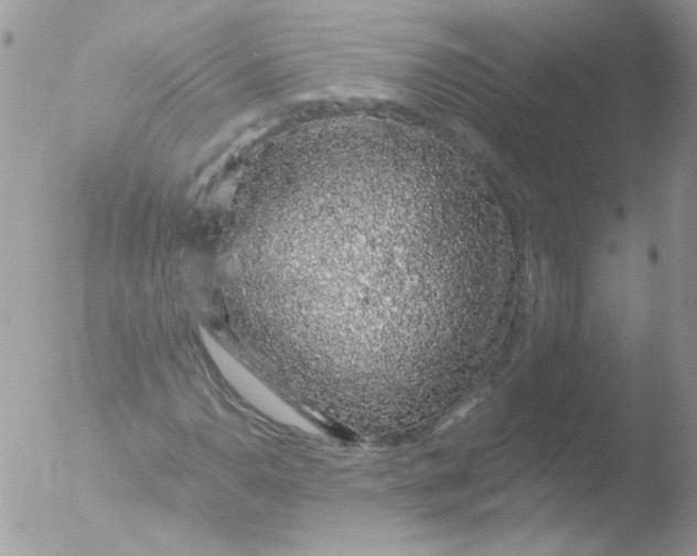 X0000051881110200507151905