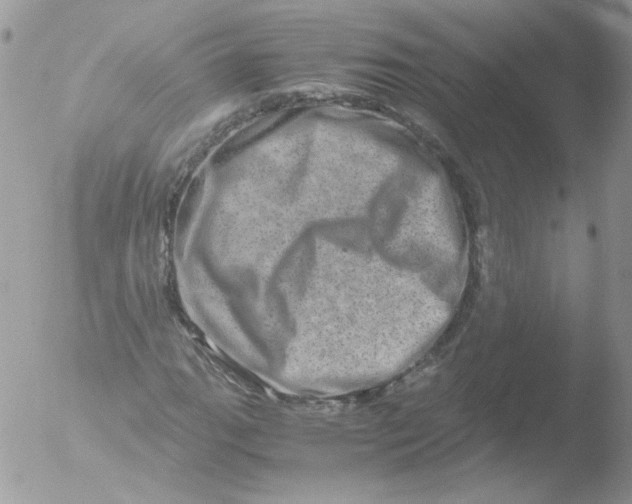 X0000051881111200507151905