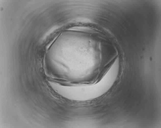 X0000051881112200507151905