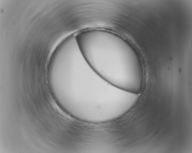 X0000051881116200507151905