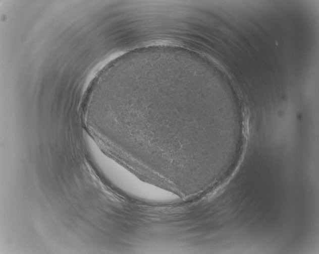 X0000051881117200507151905