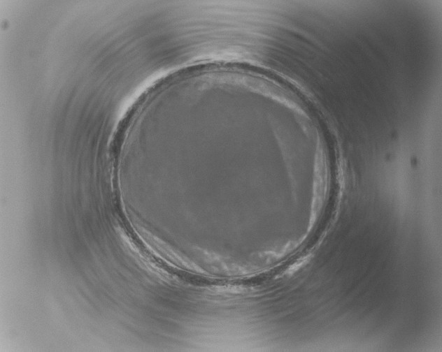 X0000051881118200507151905