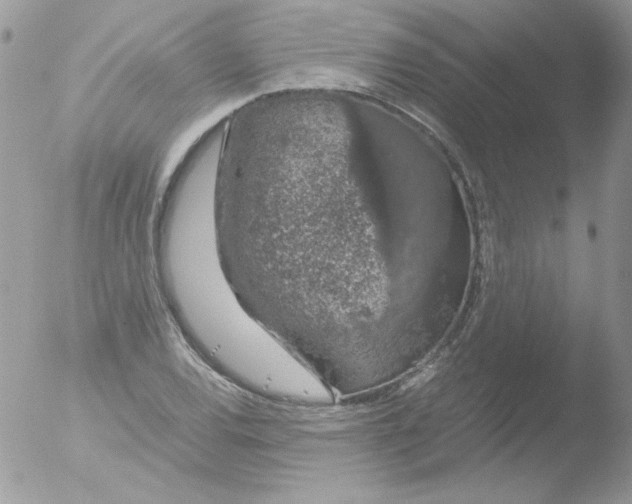 X0000051881120200507151905