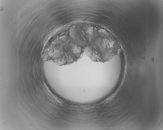 X0000051881121200507151905