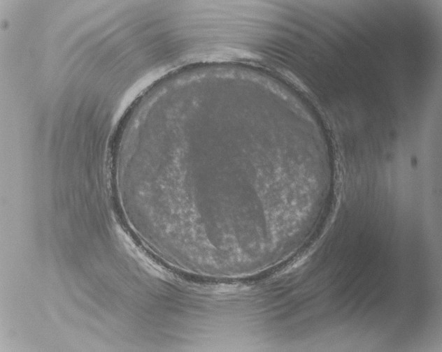 X0000051881122200507151905