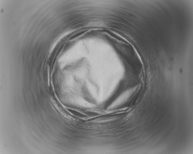 X0000051881123200507151905