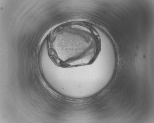 X0000051881124200507151905