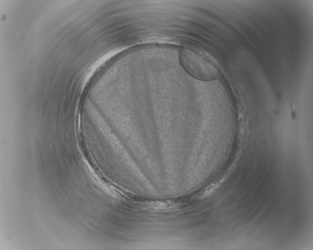 X0000051881125200507151905