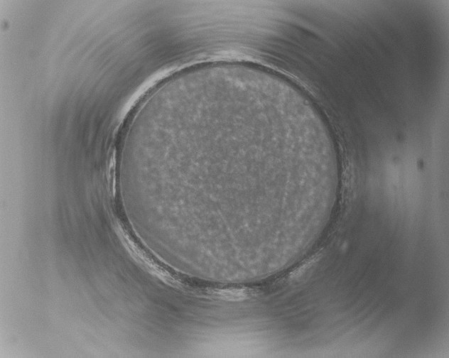 X0000051881126200507151905